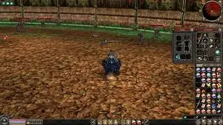 METIN2  que bonos devo ter pra subir torre e que  resistencias eu preciso ter !!