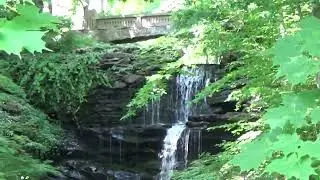 View of Shipyard Falls on Shad Row Middle Haddam, CT. [1:32 min.]