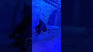 simcha island 🏝️ ll show 🏙️ city  ll indore 😃 ll ice sliding ll full enjoyment