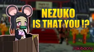 -AQW- /AKIBA - CHINESE NEW YEAR AND DROP BOSS PREVIEW -RARE RARITY- (FULL WALKTHROUGH NEW QUEST)