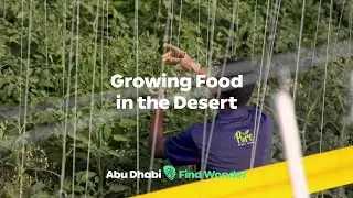 Growing Food in the Desert