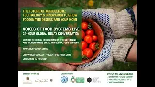The UN  Food Systems Summit on World Food Day 2020 (UAE)