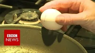 Dutch egg scandal: How safe are they to eat? - BBC News