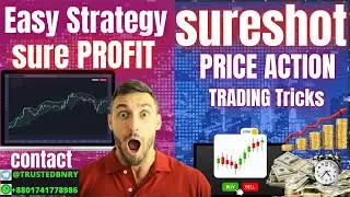 Price Action Sure Shot Strategy for Binary Trading IQ, Expert, Pocket Option, Binomo, Qoutex