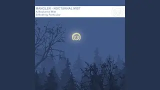 Nothing Particular