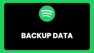 How to backup data from Spotify
