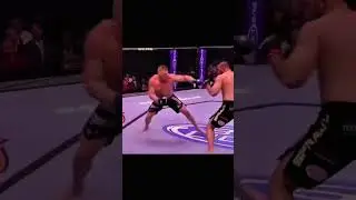 WWE vs MMA &ndash; Who Really Wins?