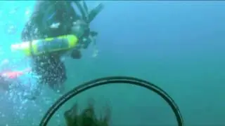 Poseidon Dive Center Diving in Taganga