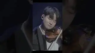 Canon in D 🎻💛