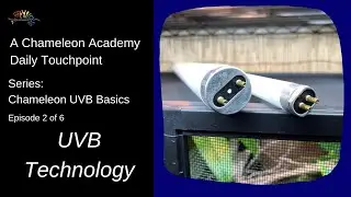 UVB Technology for Chameleons