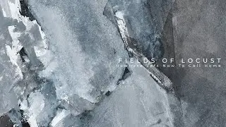 Fields Of Locust - We Are the Eternal Battle
