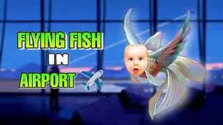 I Am Fish - Flying Fish Level 3 - Airport Escape ! ( part 1 )