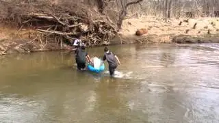 Crossing Hominy Creek - Live Staking March 5th 2016
