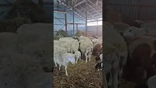 23 января 2026 г.