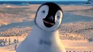 Punjabi Totay - Penguins Sardar.flv