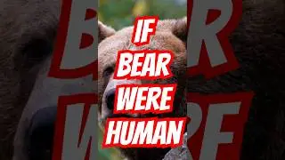 Bear to Human: Exploring Their Newfound Job Choices! 🐻💡| Ep 28 |  #animals