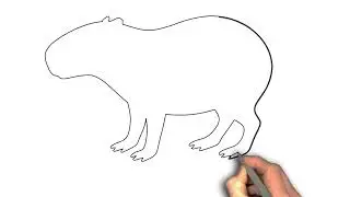 capybara drawing step by step &ldquo;Contour of Calm: Capybara&rdquo;