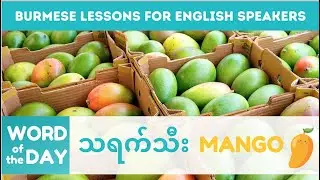 Learn Burmese | Word of the Day | သရက်သီး - MANGO | Myanmar for English Speakers