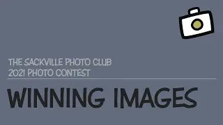 SPC PHOTO CONTEST 2021 - Category Winners & Best in Show Results
