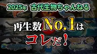 【ゆっくり解説】2025年視聴回数順総合ランキング！栄えある1位は！？
