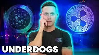 Cardano (ADA) & XRP | Crypto UNDERDOGS Pack A Powerful Punch