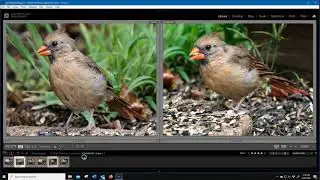 Comparison of MC-20 & 40-150 Pro & 300 Pro