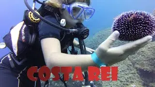 Prima immersione-Sardegna 2022