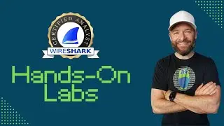 Получите сертификат &mdash; практические занятия по Wireshark.