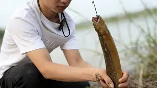 廣東鱔魚的習性太絕了！兩條同居，釣鱔魚再也不用瞎忙活！#fishing #大熱門