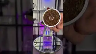 Cloud|Mini Hookah: A Premium Shisha | #hookah #whatsapp #reels #whatsappstatus #shisha