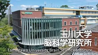 【施設紹介】玉川大学 脳科学研究所