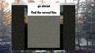 Find The Curved Line #meme #goviralshorts #shorts #roadto250subs