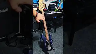 Best BASS Stand Under 20$? Portable GGS-01 Stand
