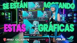 TARJETAS DE VIDEO ACTUALIZADO FEBRERO 2026 - PRESUPUESTO PARA TU PC GAMER WILSON LIMA PERU 2026