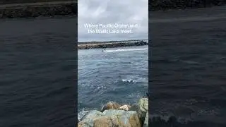 When the Pacific Ocean meets Wallis  Lake at Forster/Tuncurry  #jetski #boats #fishing  #ytp