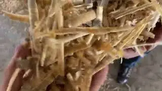 Make your own Animal Bedding