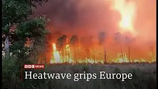 Weather Events - Extreme heatwave in July continues, Europe, UK & discussion (10) - BBC - 17/07/2022