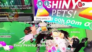 Shiny pets in overlook bay (Roblox)