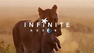 Window 9: Earth - Infinite Resort Digital Nature Therapy Series