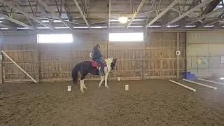 Class 98 - Open Trail WJL/WTC - Bob Williams #102  - December 2025 show