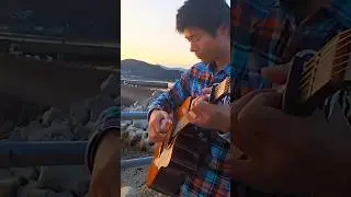 Guitar Plays / Distance #shorts