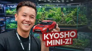 I Found A NEW HOBBY... MINI-Z RACING!