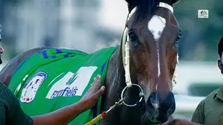 The Farmfields Stayers Cup 2022 Winner | THEON