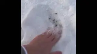 Snow ASMR || snow sounds || fluffy snow play|| snow walking sounds