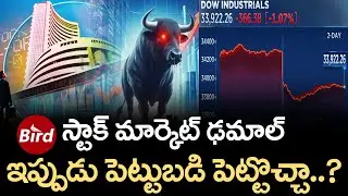 స్టాక్ మార్కెట్ ఢమాల్  ఇప్పుడు పెట్టుబడి పెట్టొచ్చా | Stock Market Crash Opportunity | Bird Media