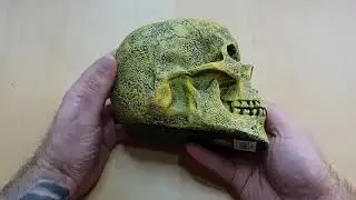 Biohazard Skull from Nemesis Now