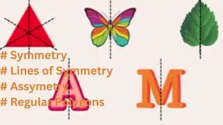 Ganita Prakash- Class 6-Ch-9 - Symmetry II What is Symmetry? |I Lines of Symmetry