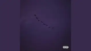 Me Amar de Novo