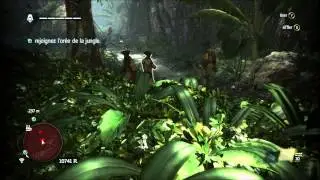 Assassin's Creed IV Black Flag   Folie collective