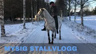 MYSIG S&Ouml;NDAG I STALLET